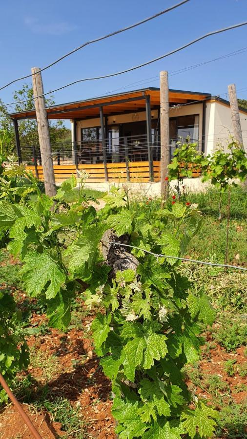 Collis Winery - Family & Friends - Mobilhome Rovinj Exterior foto