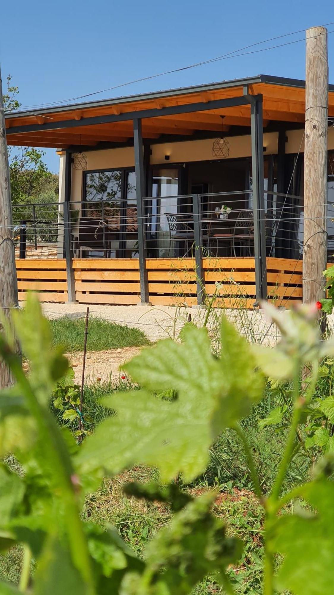 Collis Winery - Family & Friends - Mobilhome Rovinj Exterior foto